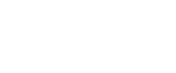 logo light